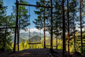 Popular swings slovakia